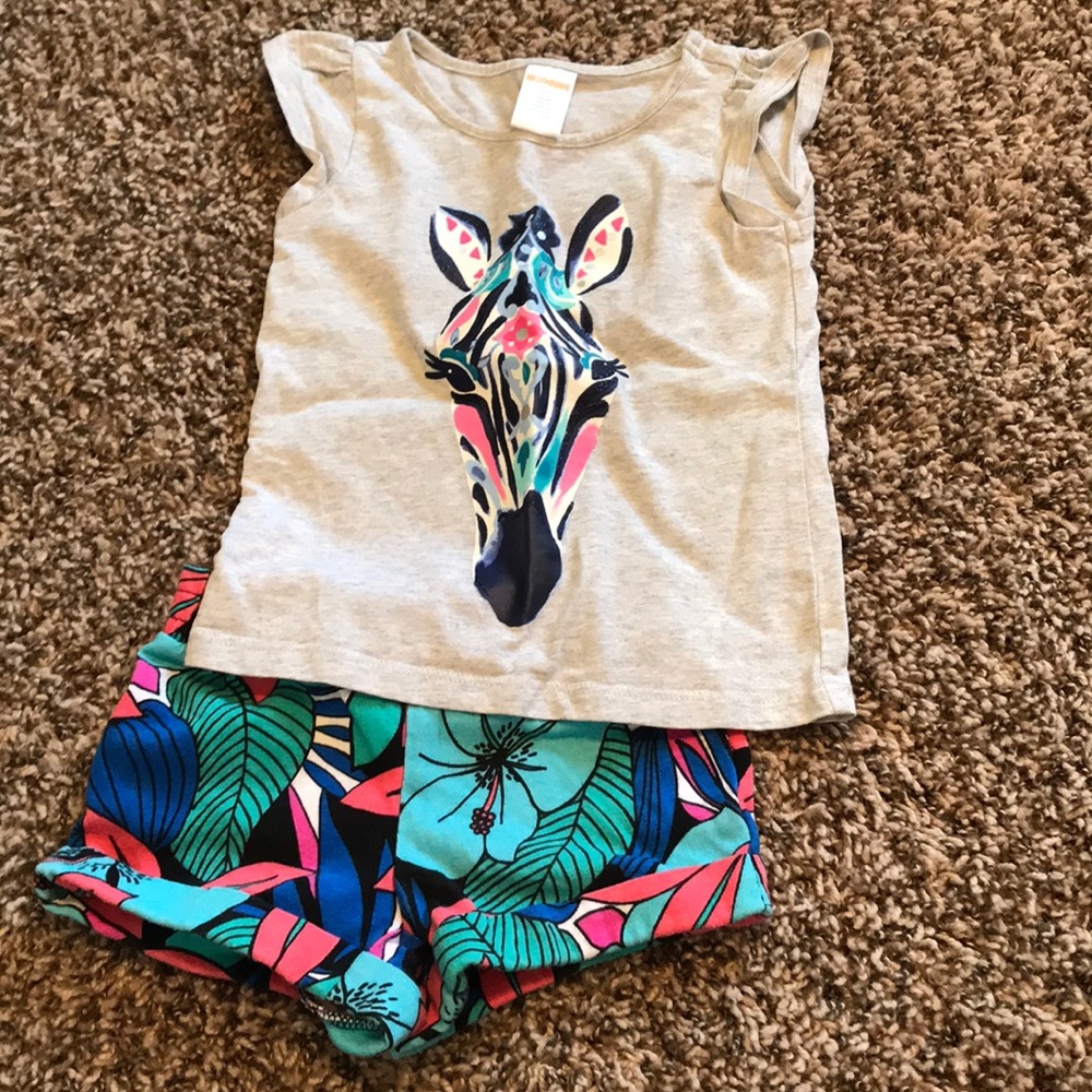 Gymboree matching outfit